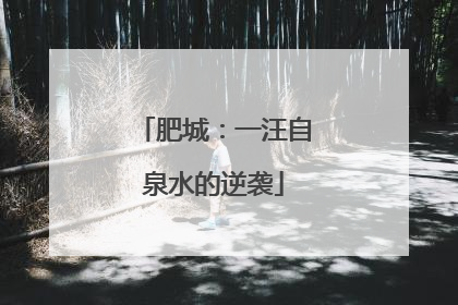 肥城：一汪自泉水的逆袭